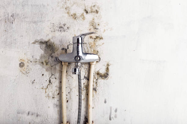 Best Mold Testing  in Lake Park, NC