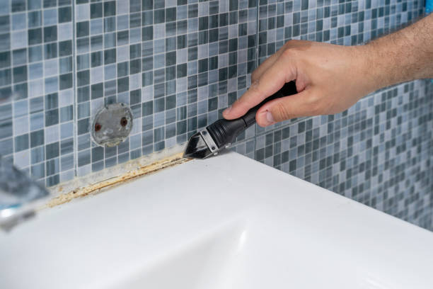 Best Certified Mold Removal  in Lake Park, NC